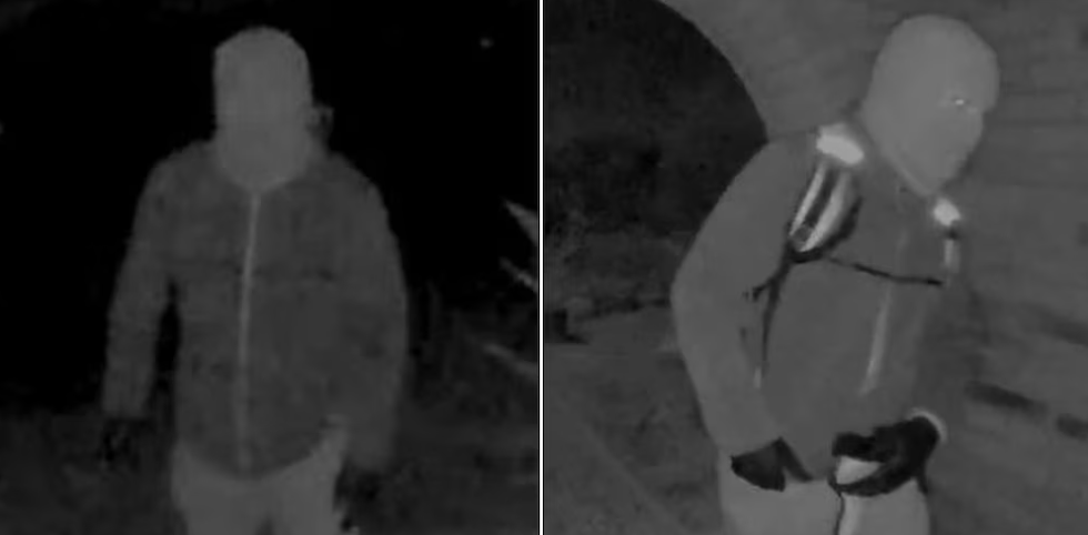 Brian Entin tweet media