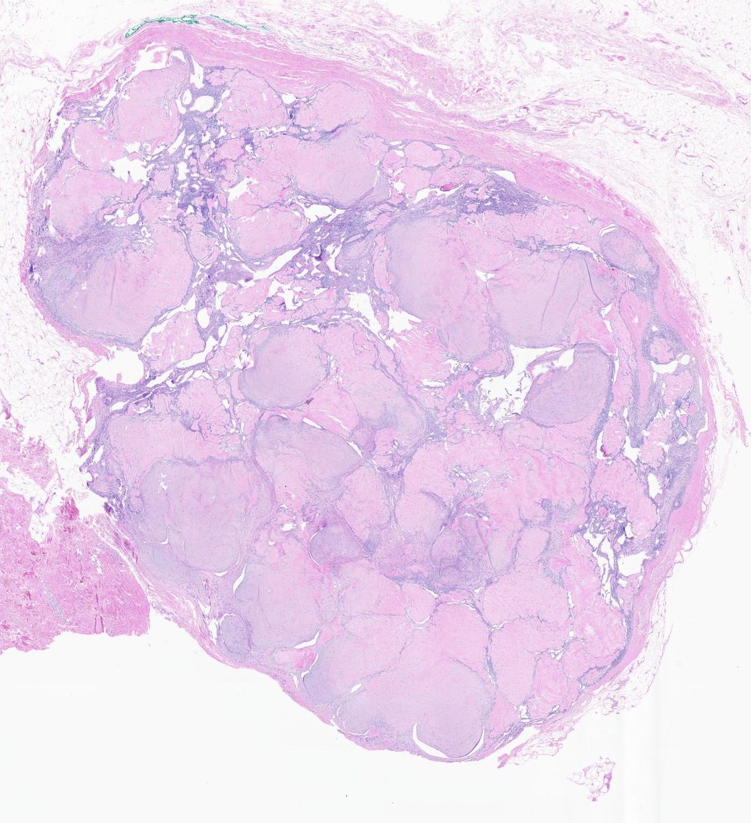 A. Sarah Erem tweet media