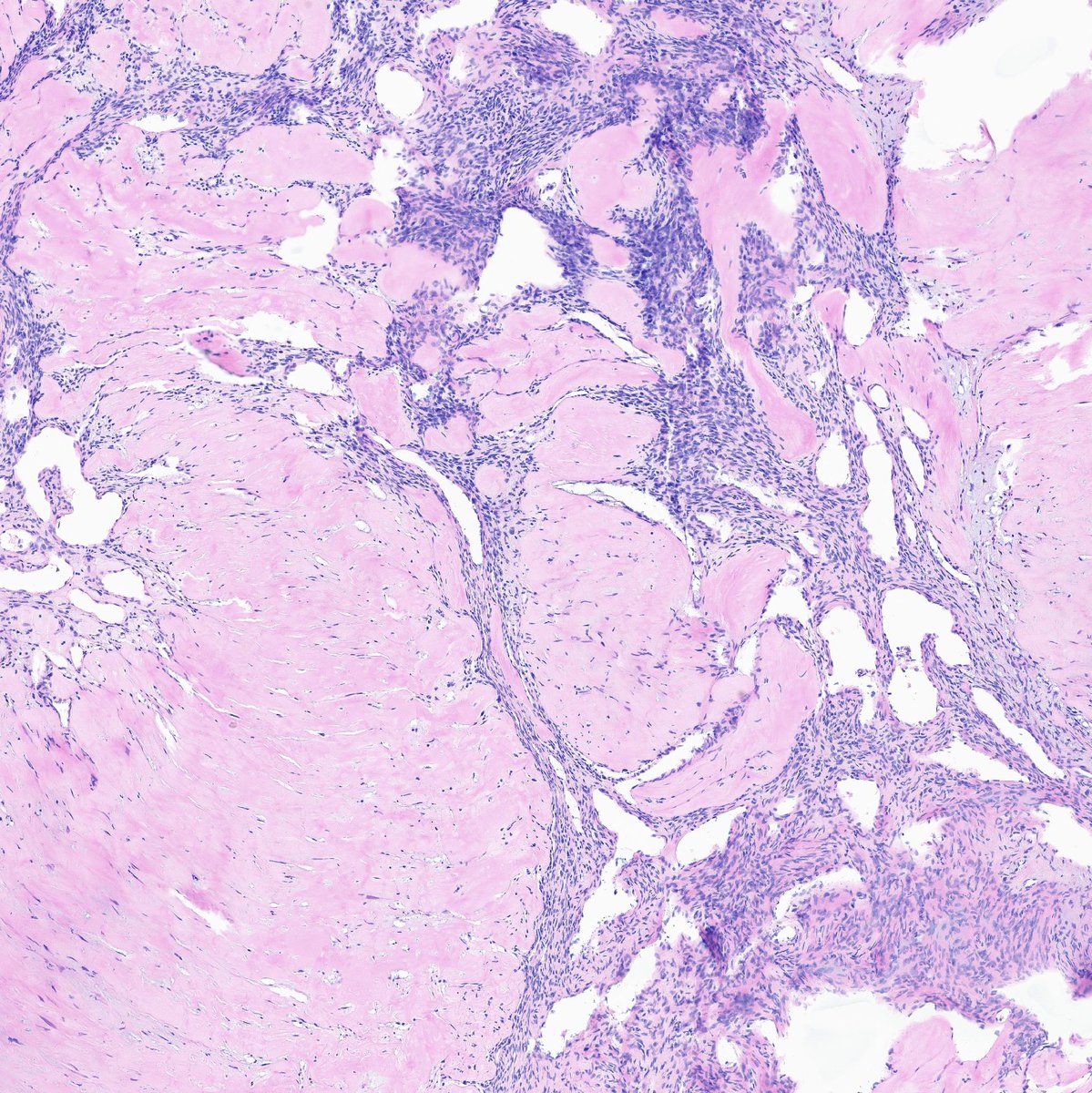 A. Sarah Erem tweet media