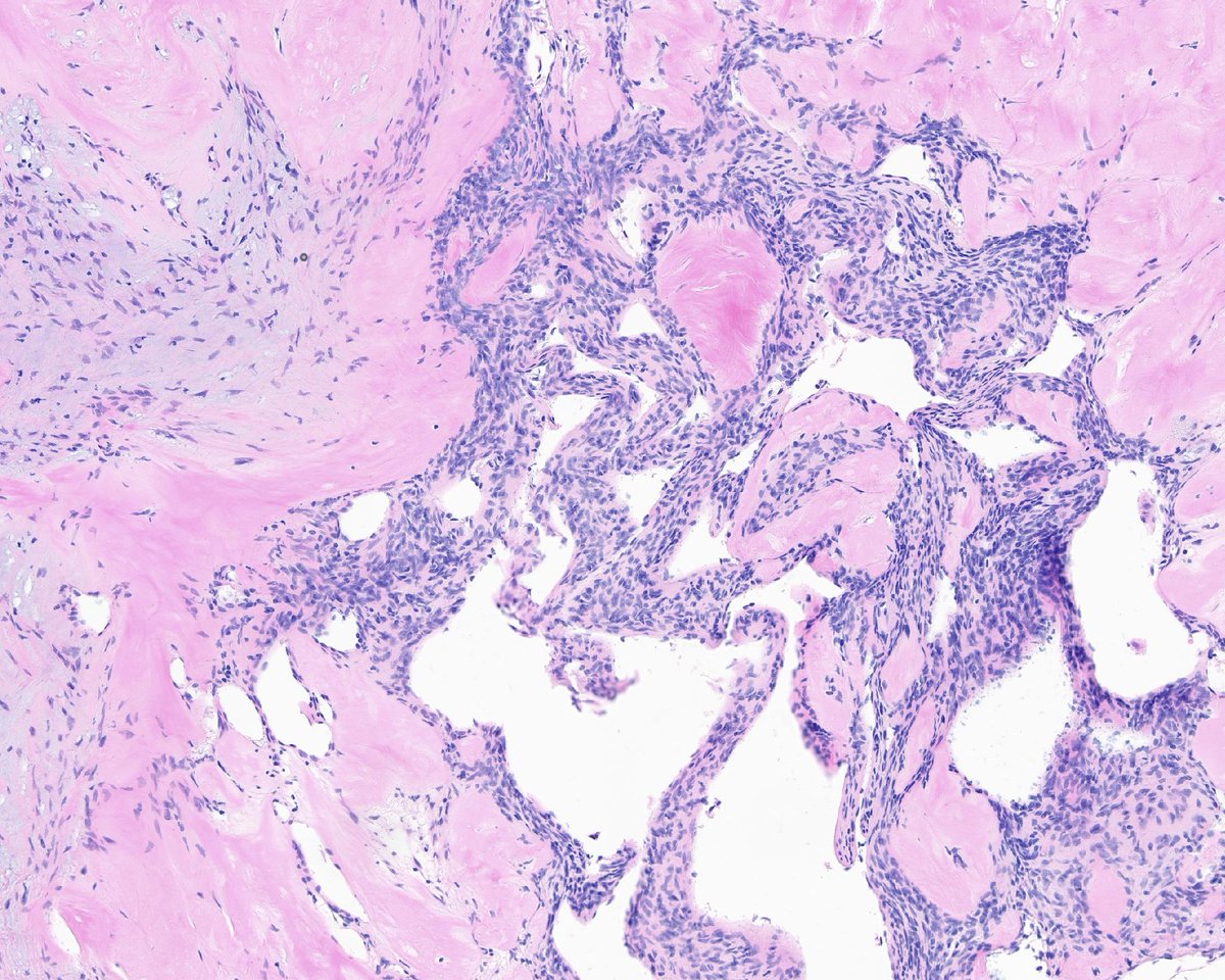 A. Sarah Erem tweet media