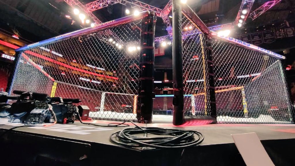 Tara Patton tweet media