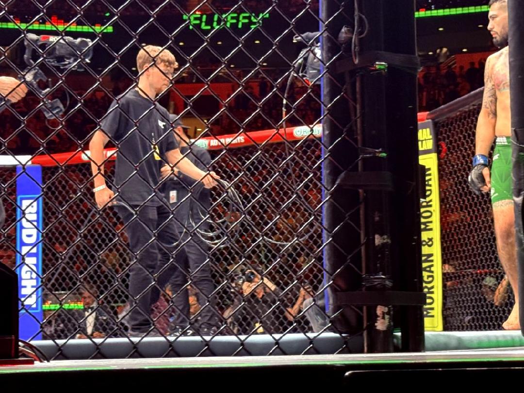 Tara Patton tweet media