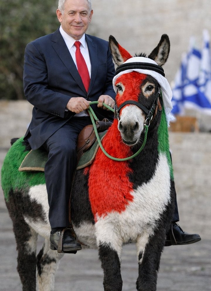 لماذا رضيتم يا اهل الامارات ان يعتليكم هذا الشئ ويجعلكم منبوذين بين اخوانكم العرب ؟! 

لماذا ؟