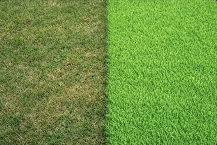 PrFilipee's tweet photo. As vezes a grama é mais verde porque é falsa.  😉 https://t.co/ORmDSxEqjn