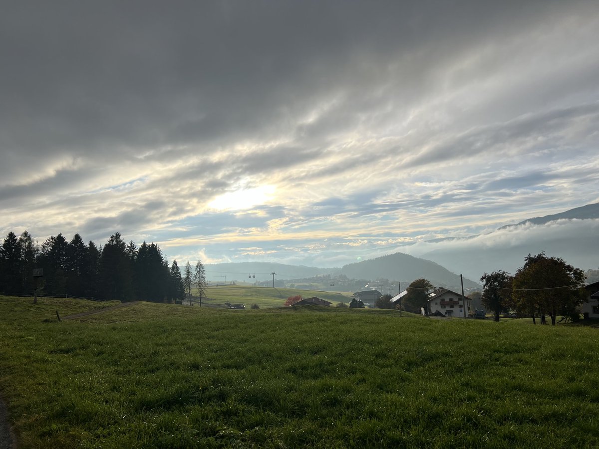 مشعل البشر tweet media