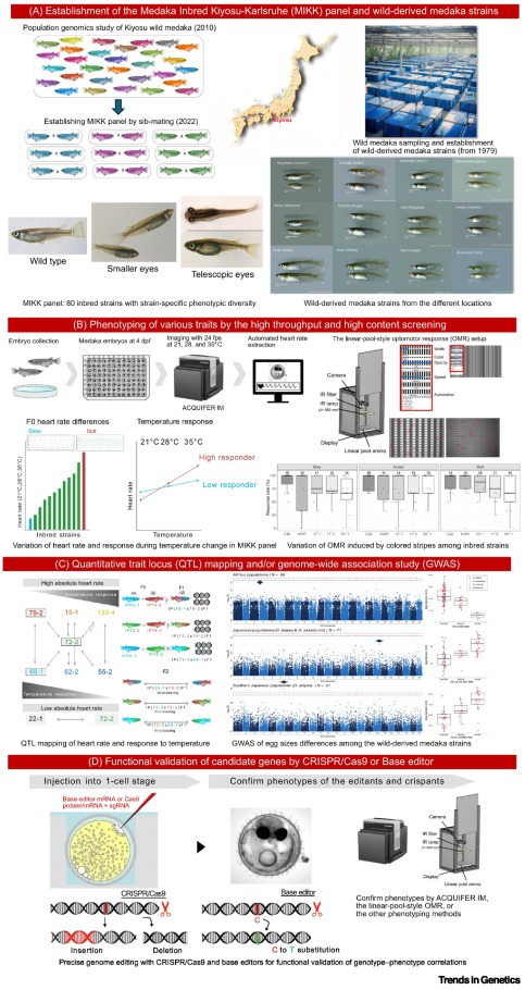 Trends in Genetics tweet media
