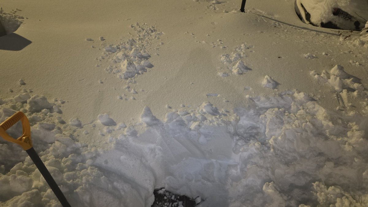 Staten Island Basketball Association (SIBA) tweet media