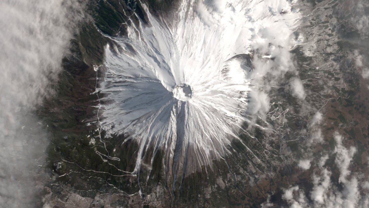 Axelspace アクセルスペース🛰️ tweet media