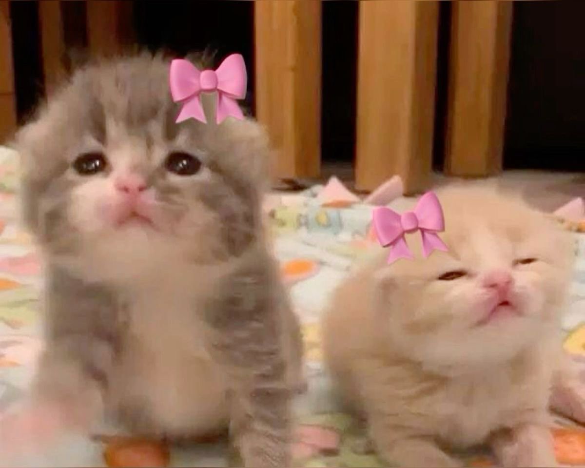 liaajk0197's tweet image. Me voy a ver con mi real bbs @Val_Baias5  SOMOS ESAS 🫶🏻