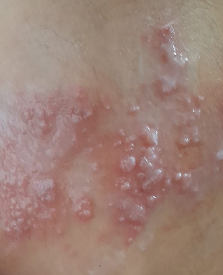 Dalula in Gaza tweet media