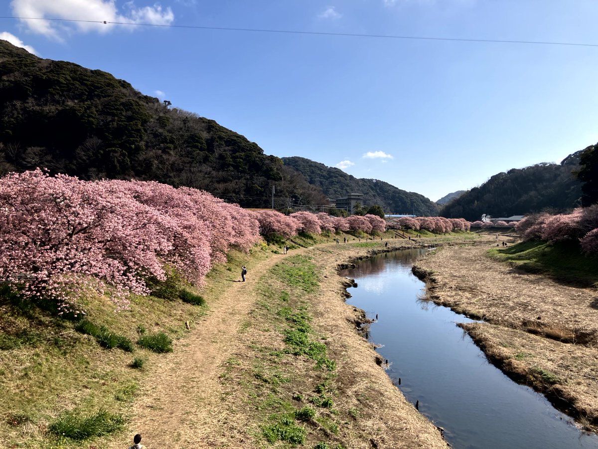 ナウル屋 沼津・伊豆出張所です。 伊豆の最新情報をお知らせします
