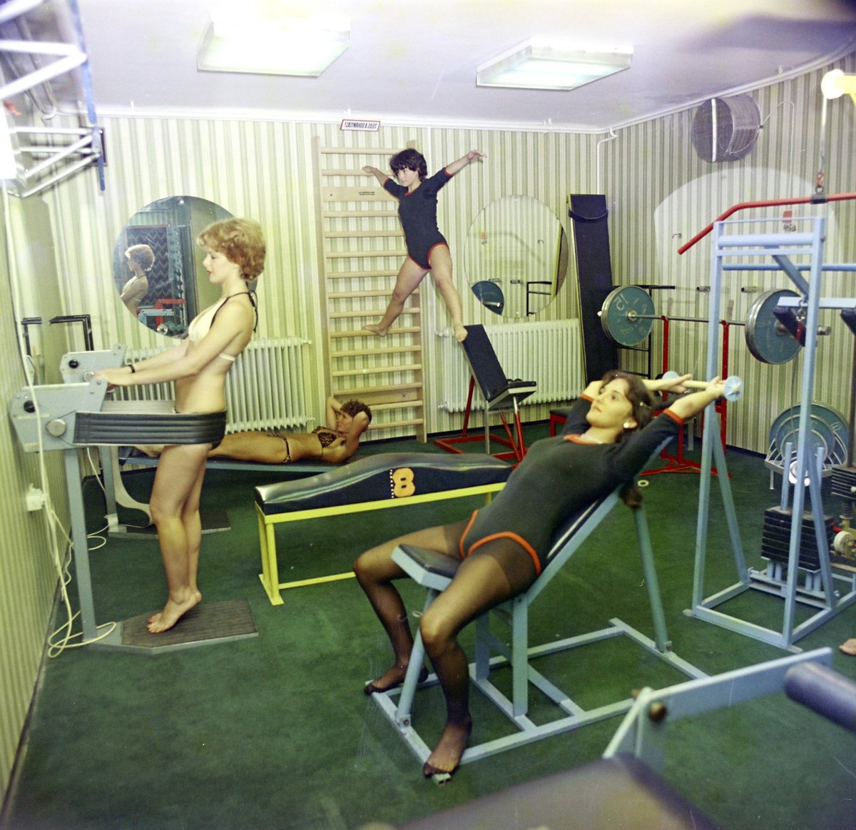 Timeless Classics tweet media