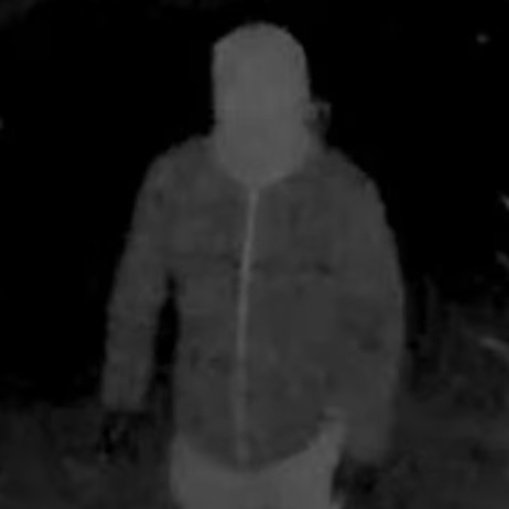 Jennifer Coffindaffer tweet media