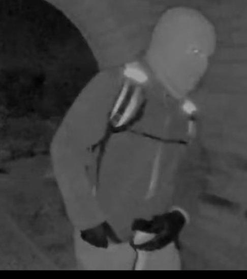 Jennifer Coffindaffer tweet media