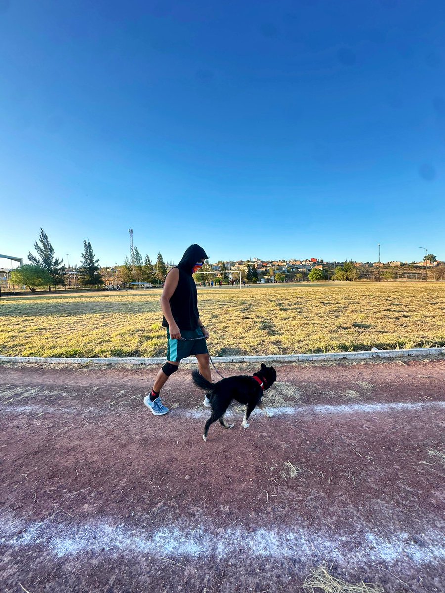 dddrixx's tweet photo. #dog https://t.co/gnR3xjojie