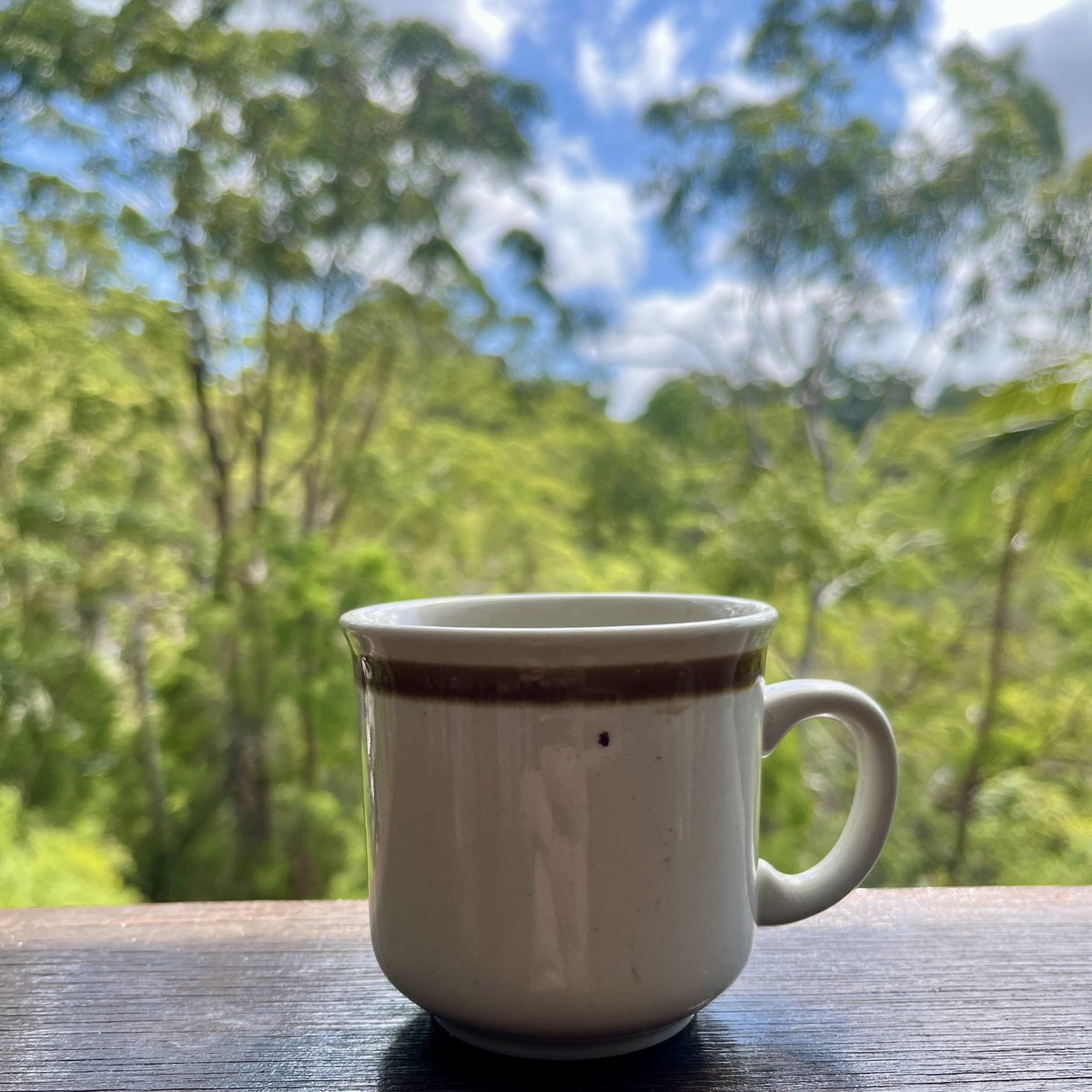 Neil Saunders tweet media