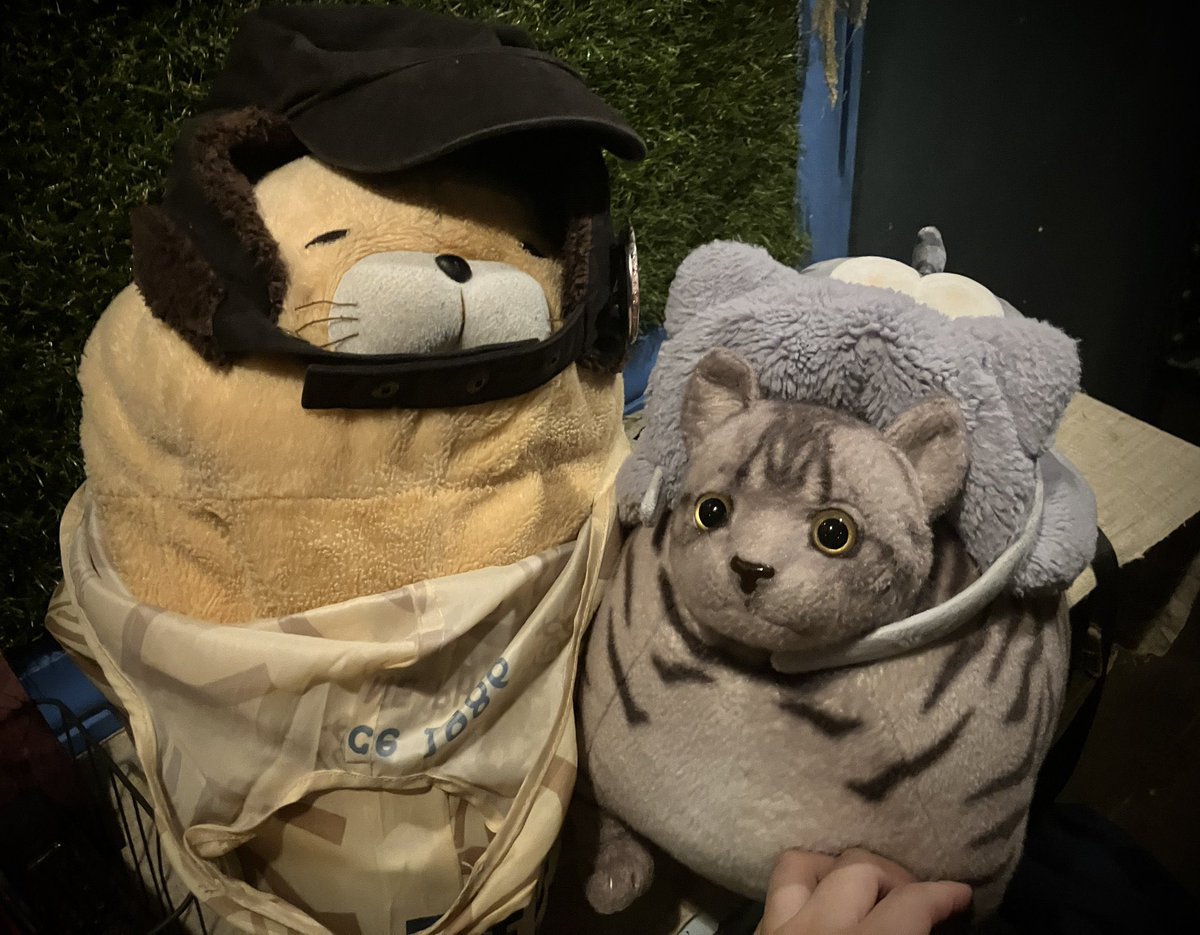 DJ ねこちぃねこちぃ a.k.a 廃店長 (@H_a_I_t_e_N) / Posts / X