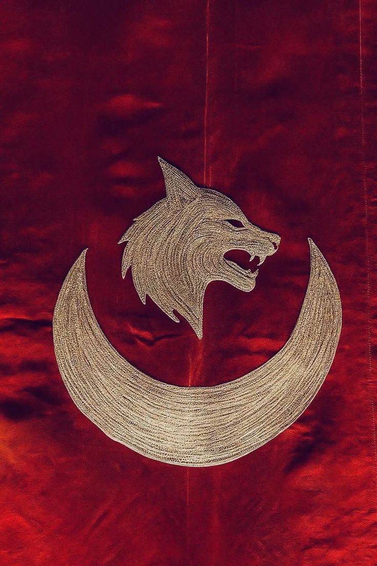 “Türkiye'de Türkçü olmak bir zarurettir.”