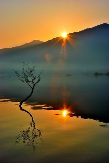 Vettiyaan (@rgbalu) on Twitter photo 