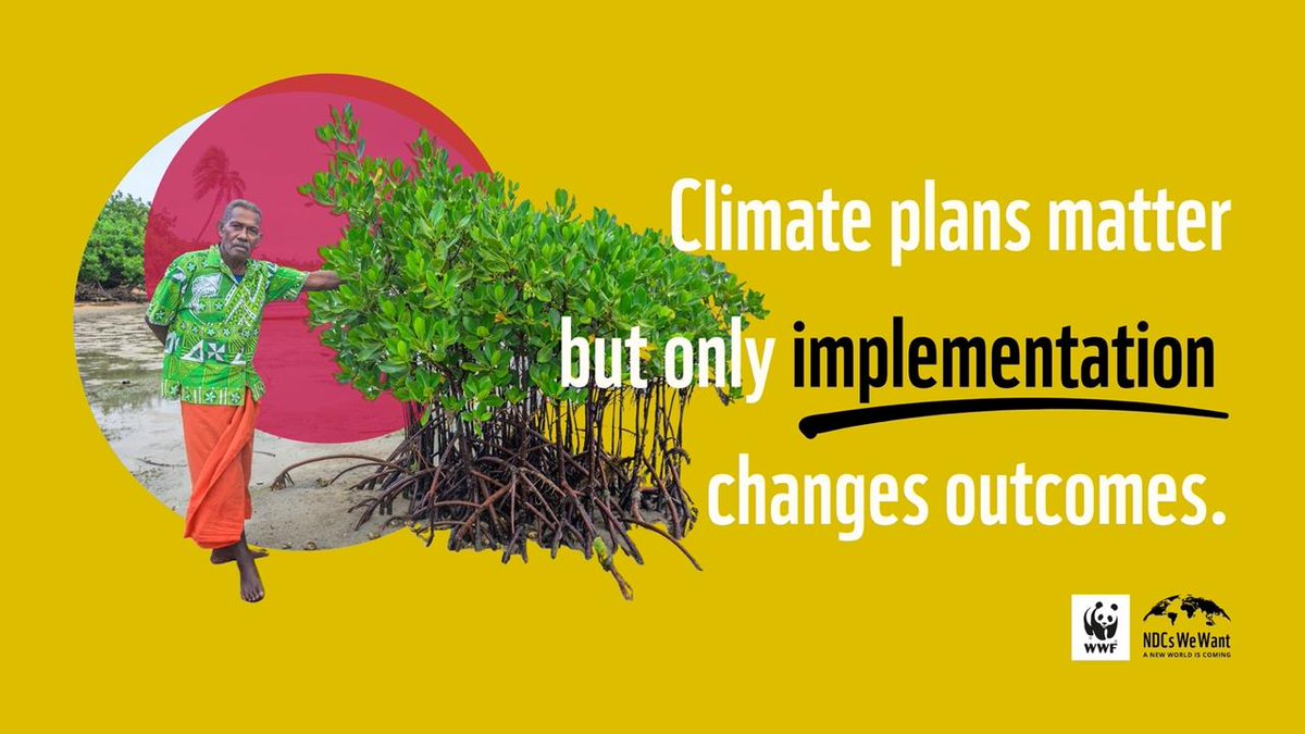 WWF Climate & Energy tweet media