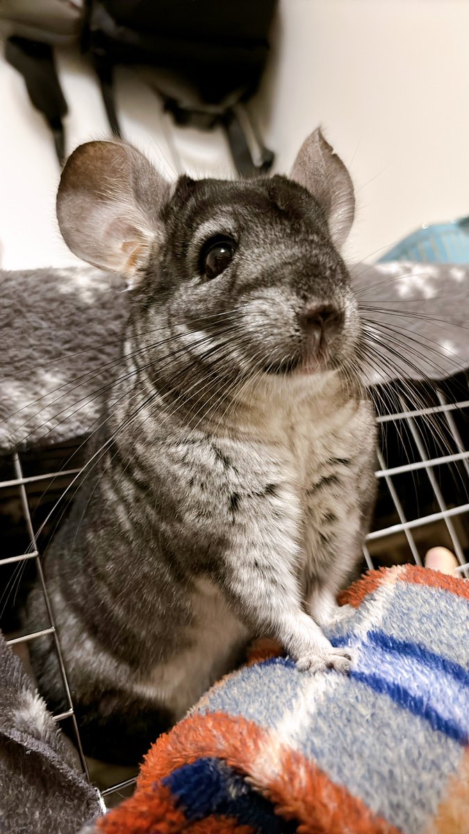 陳遼 (@chinryosan) / Posts / X