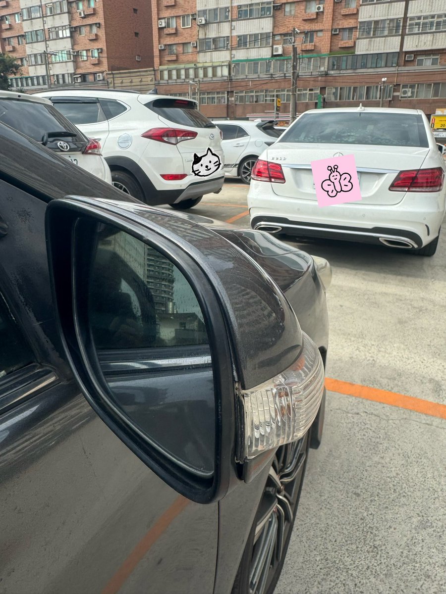 水母暮暮✨VTuber【編劇系】朝暮航線 - 社長✨ tweet media