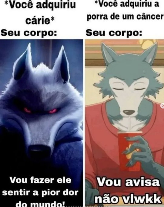 Os melhores prints tweet media