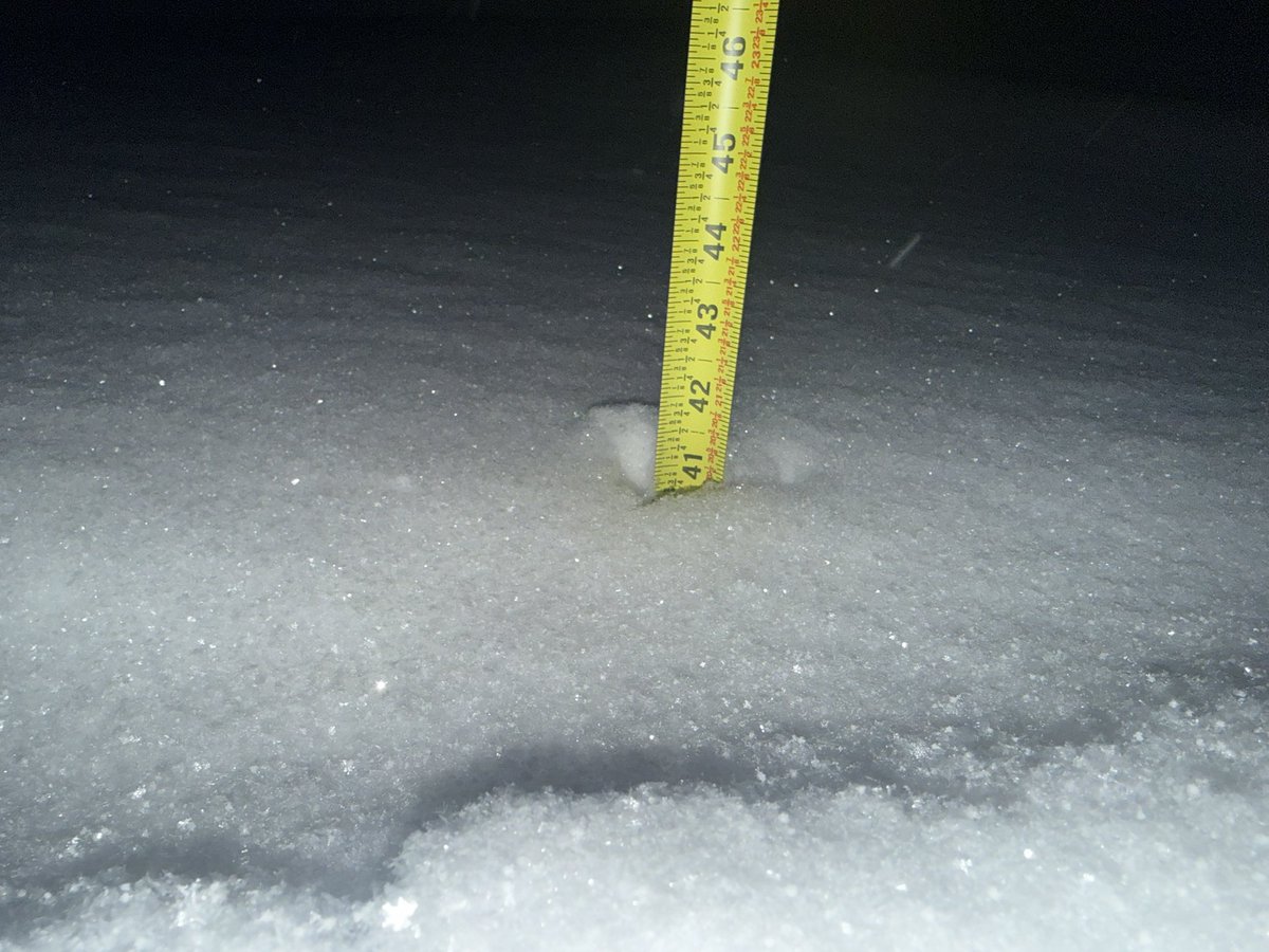 Joshua Allan tweet media