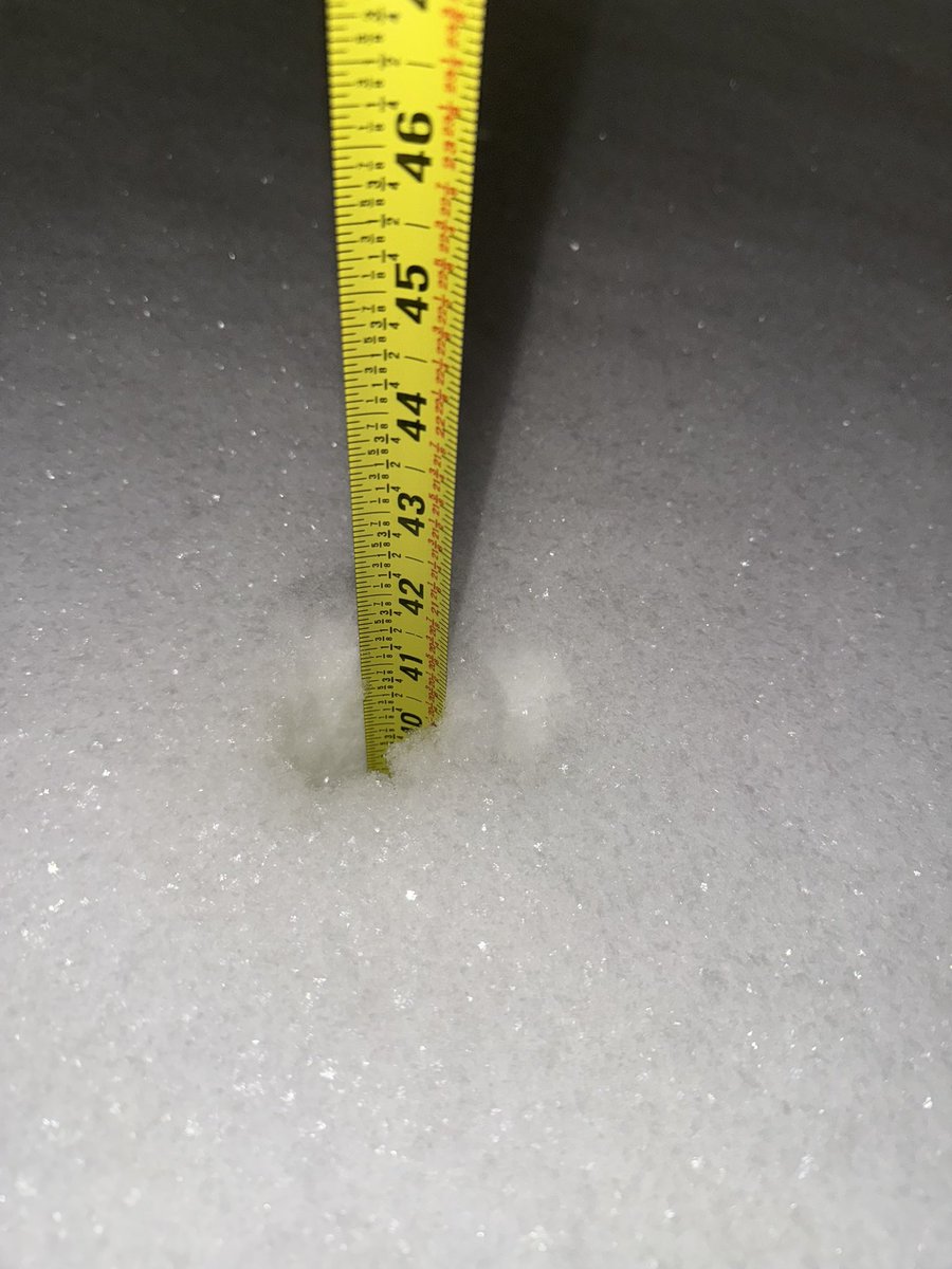 Joshua Allan tweet media