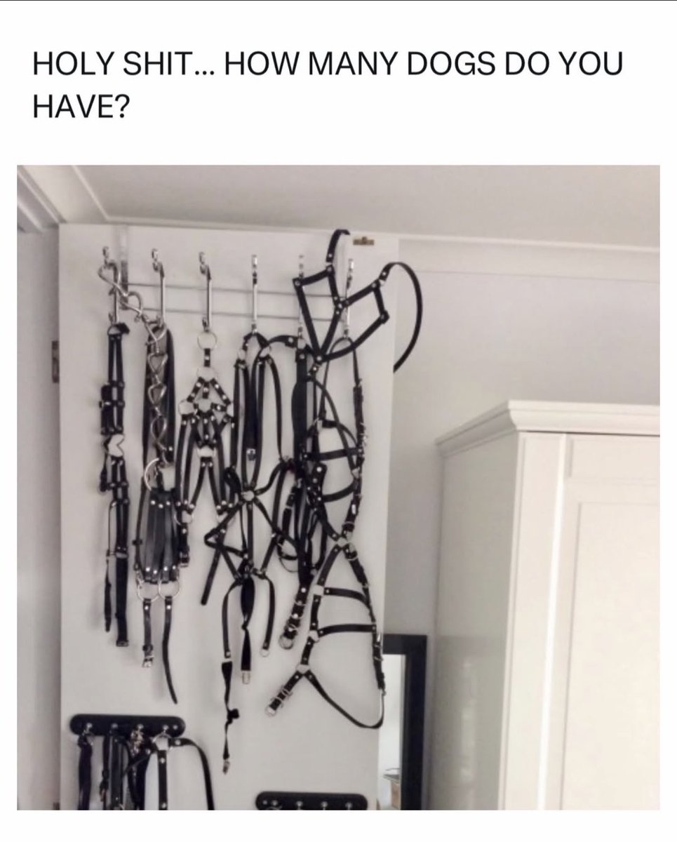 El Señor De Los Memes tweet media