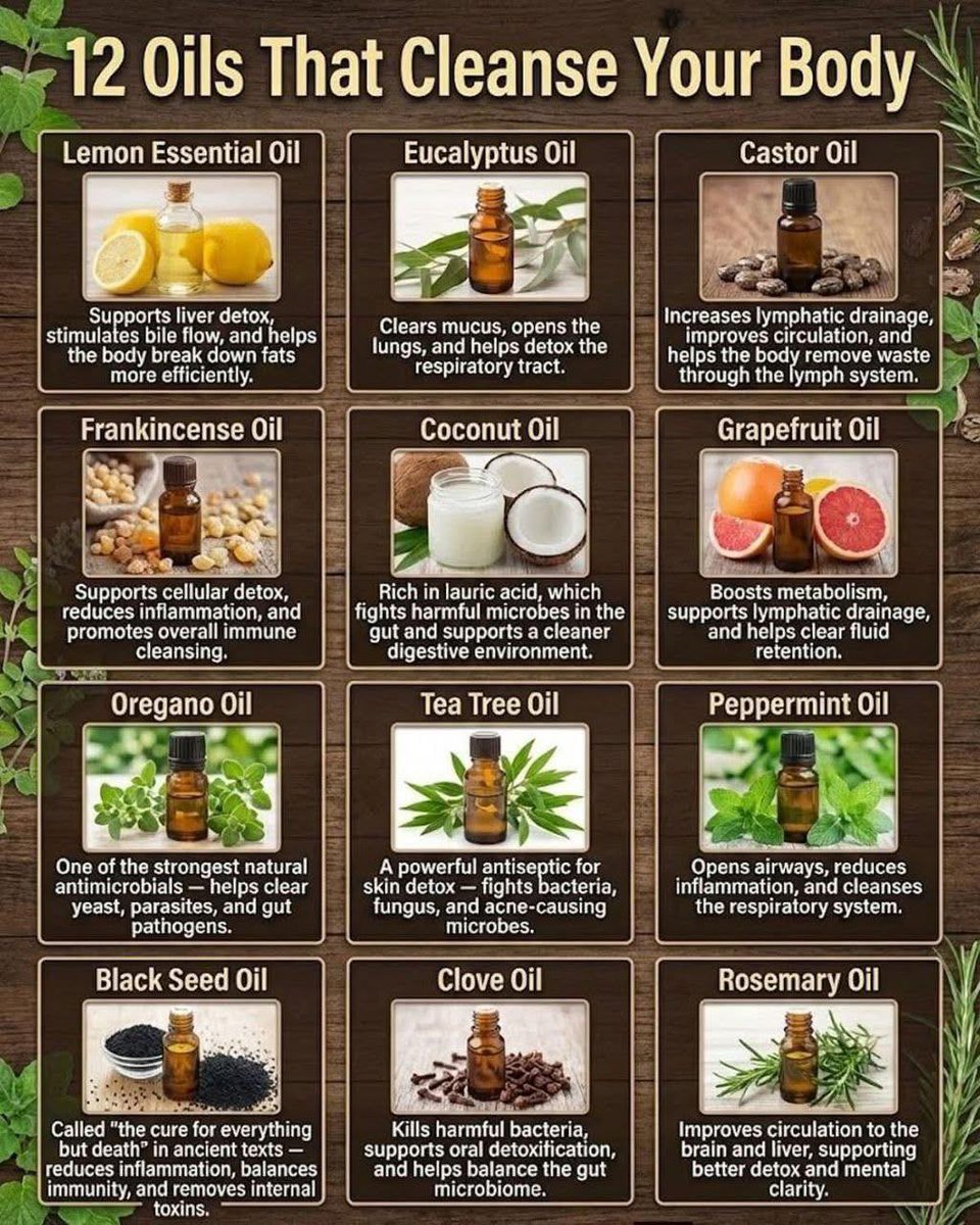 Before pills… there were oils.

Nature’s original cleanse 🧴🌿

• Lemon 
• Oregano 
• Black Seed 
• Peppermint 
• Rosemary 
• Clove 

The body already knows how to detox.

These oils just remind it how.