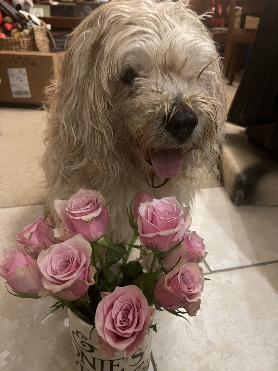 Lord Alfred’s Diary tweet media