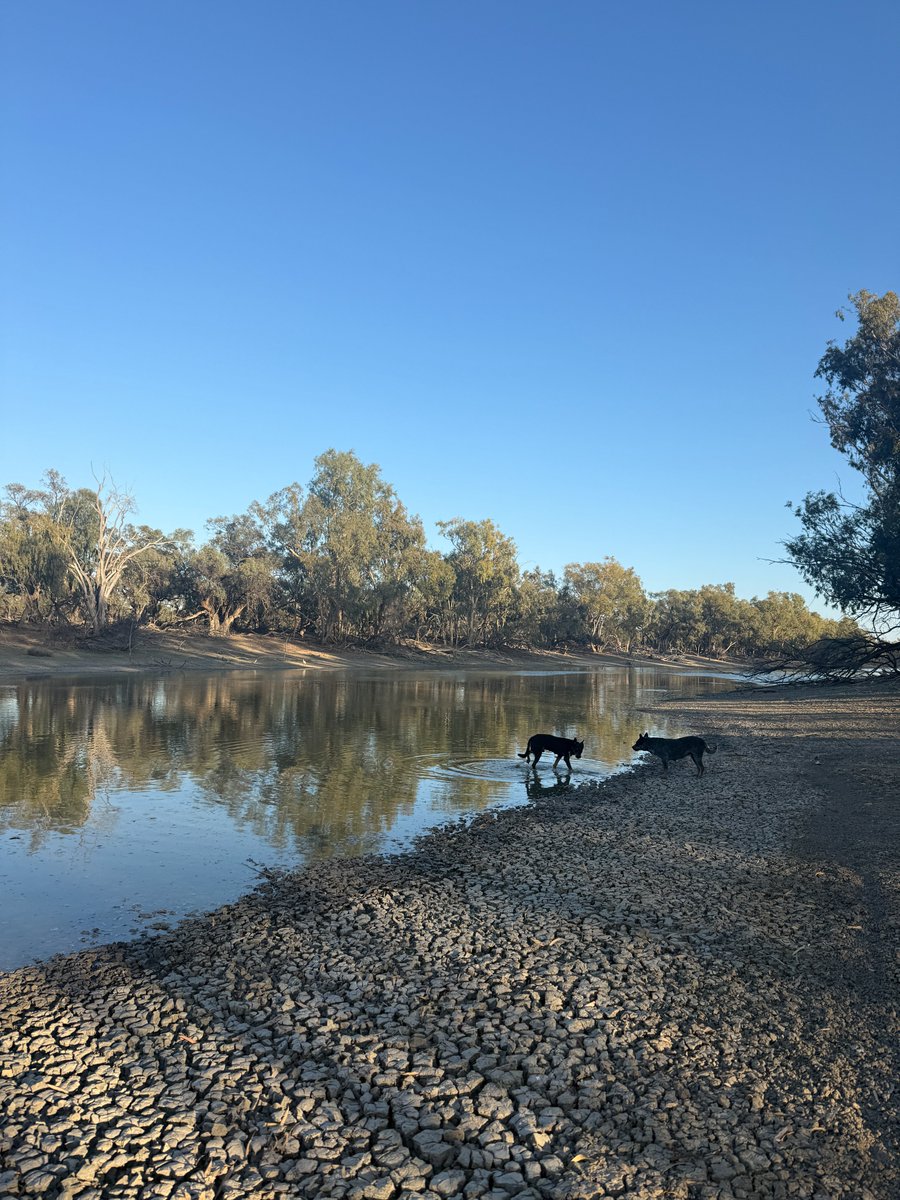 Environmental Water tweet media