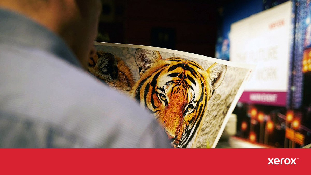 Tienes muchas cosas qué hacer, pero el mercado no espera y solo hay una opción: competir o desaparecer.

🖨️La familia Versant de Xerox permite aceptar trabajos más complejos, cumplir plazos ajustados y sostener estándares altos.

🔍Lee más aquí: xerox.bz/468g3nn