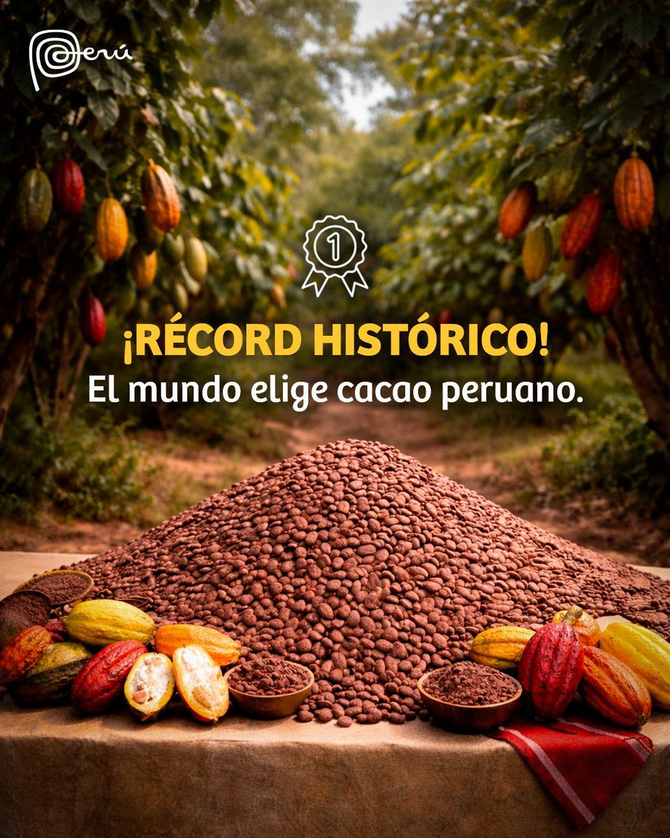 Marca PERÚ 🇵🇪 tweet media