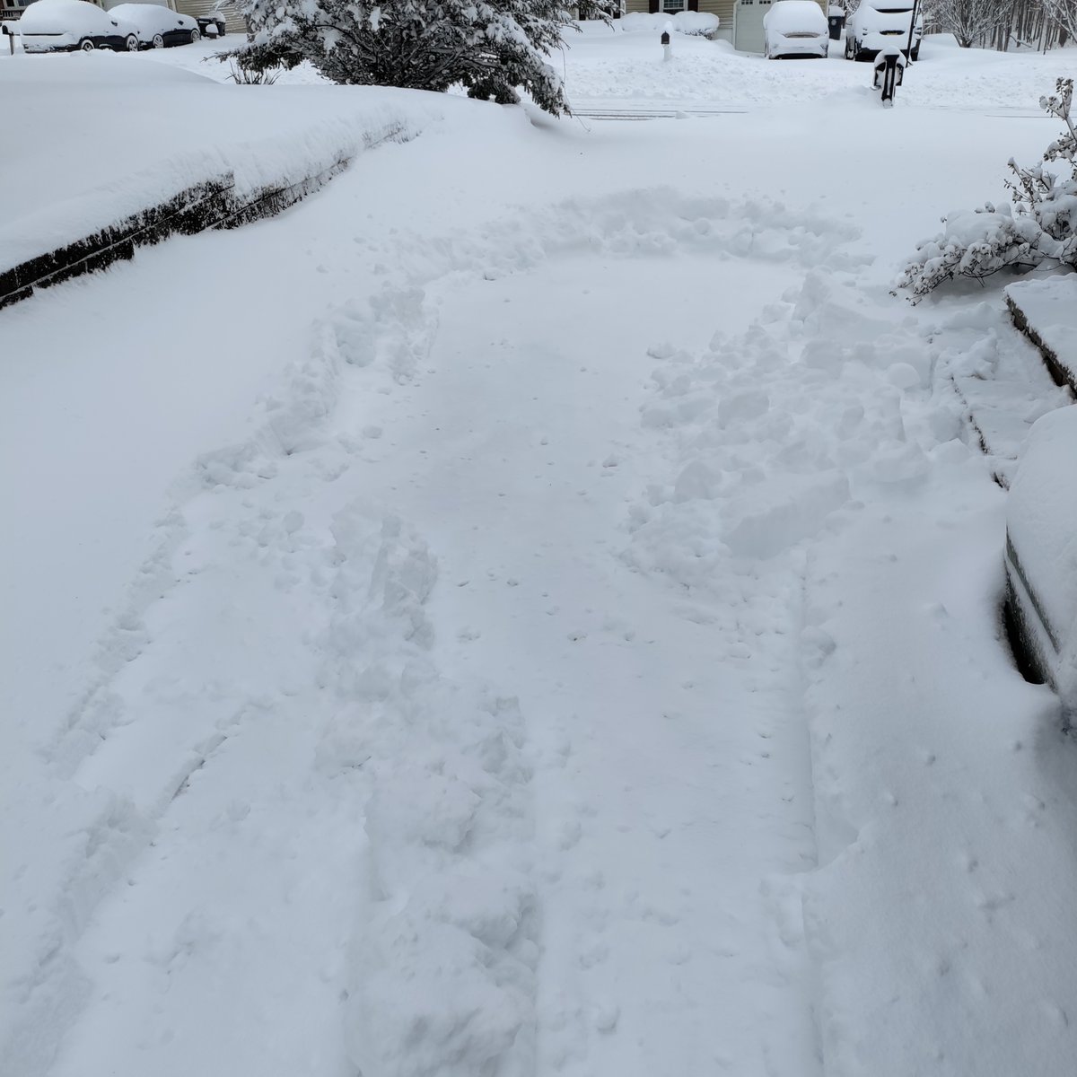 Jim Kraus tweet media