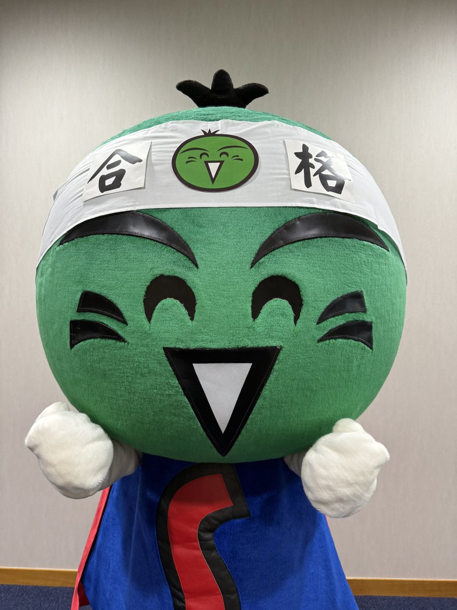 すだちくんオフィシャル【公式】 (@sudachikun_offi) / Posts / X