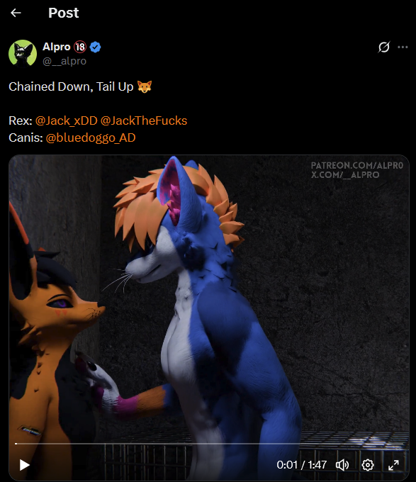 JackTheFoxowo tweet media