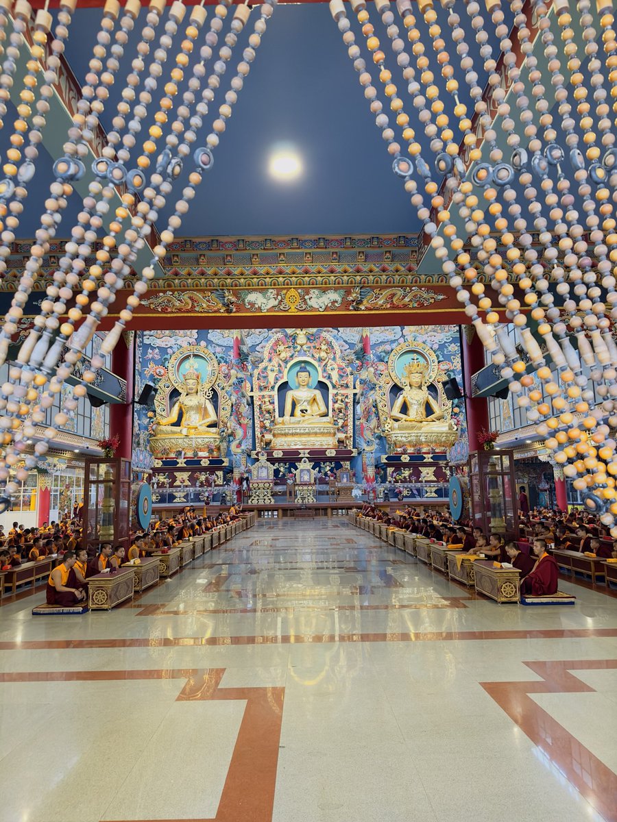 its_Karthi26's tweet photo. Let your mind be calm your heart be kind, and your actions be meaningful🕊️🙏
#OwnClick📸 https://t.co/JZIE5RgWgf