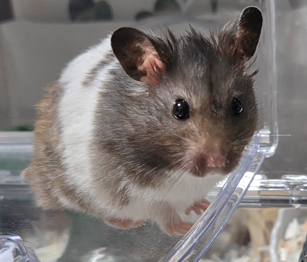 キリッとしたまーちゃん✨