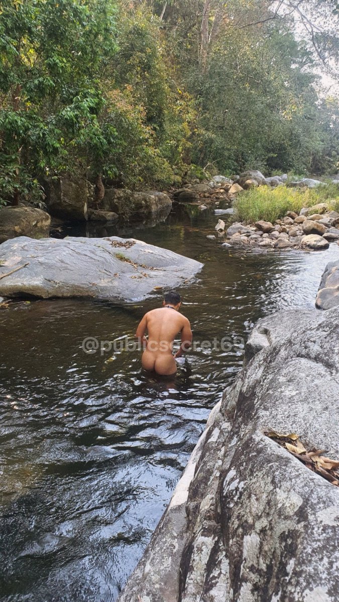 Mypublic tweet media