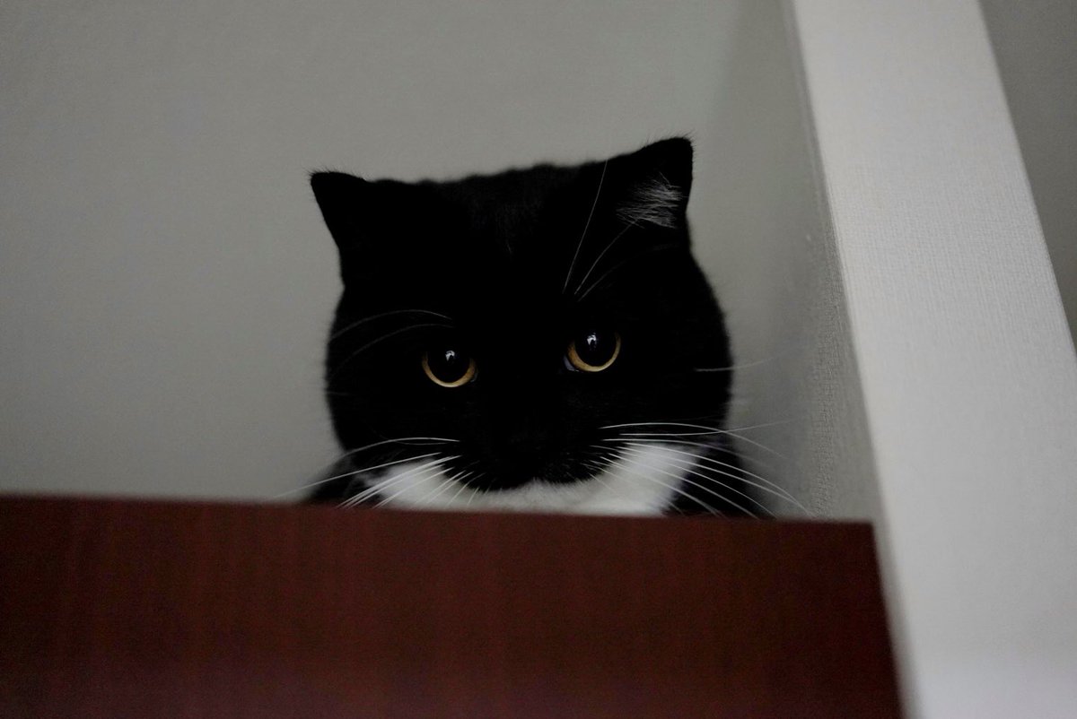 The roundest face! :3