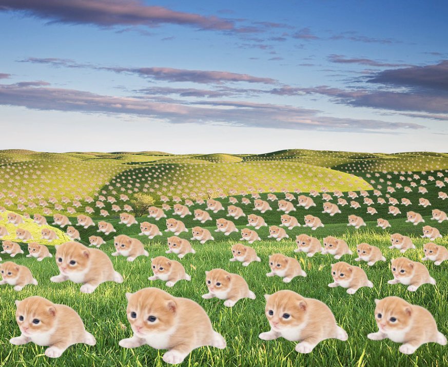 gary (@higary__) on Twitter photo 