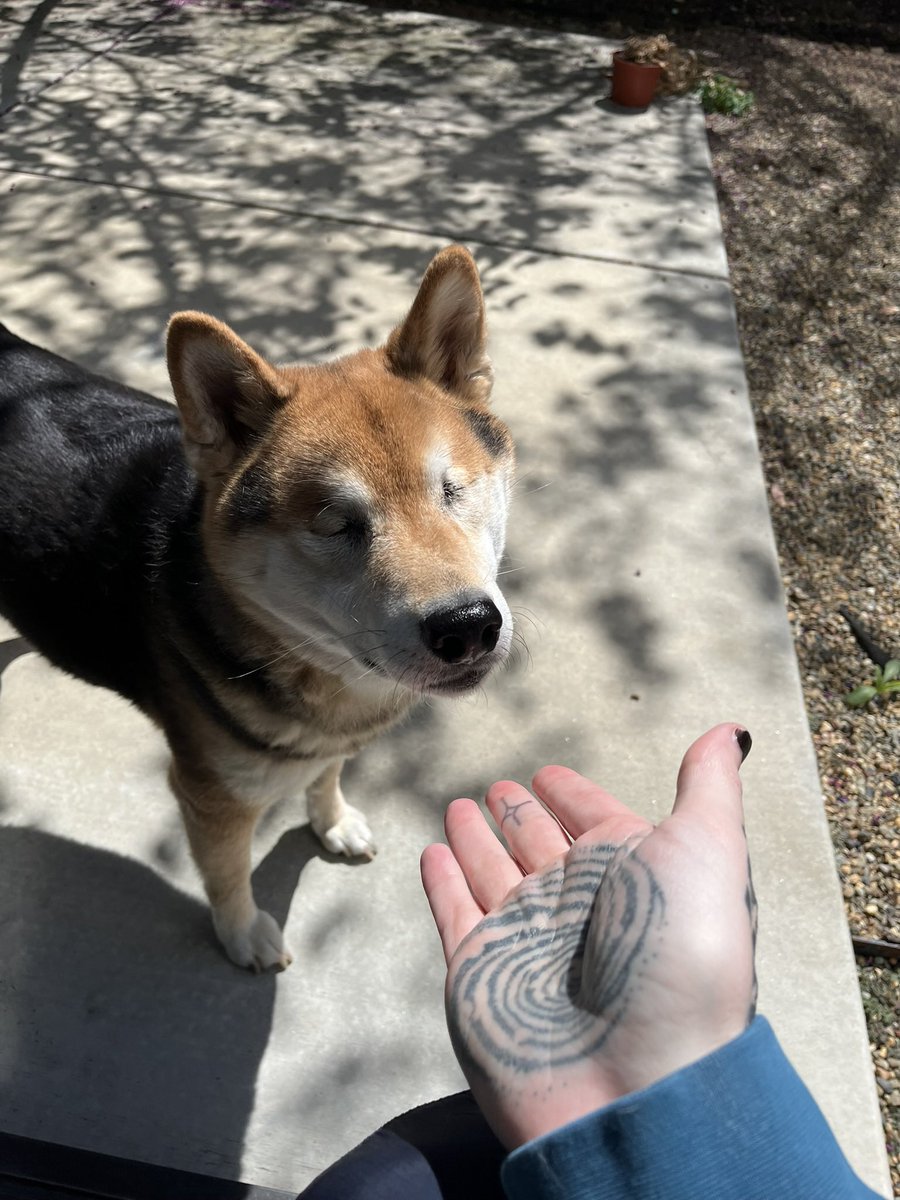 ESCHA (๑ˊ͈ ^ˋ͈) tweet media