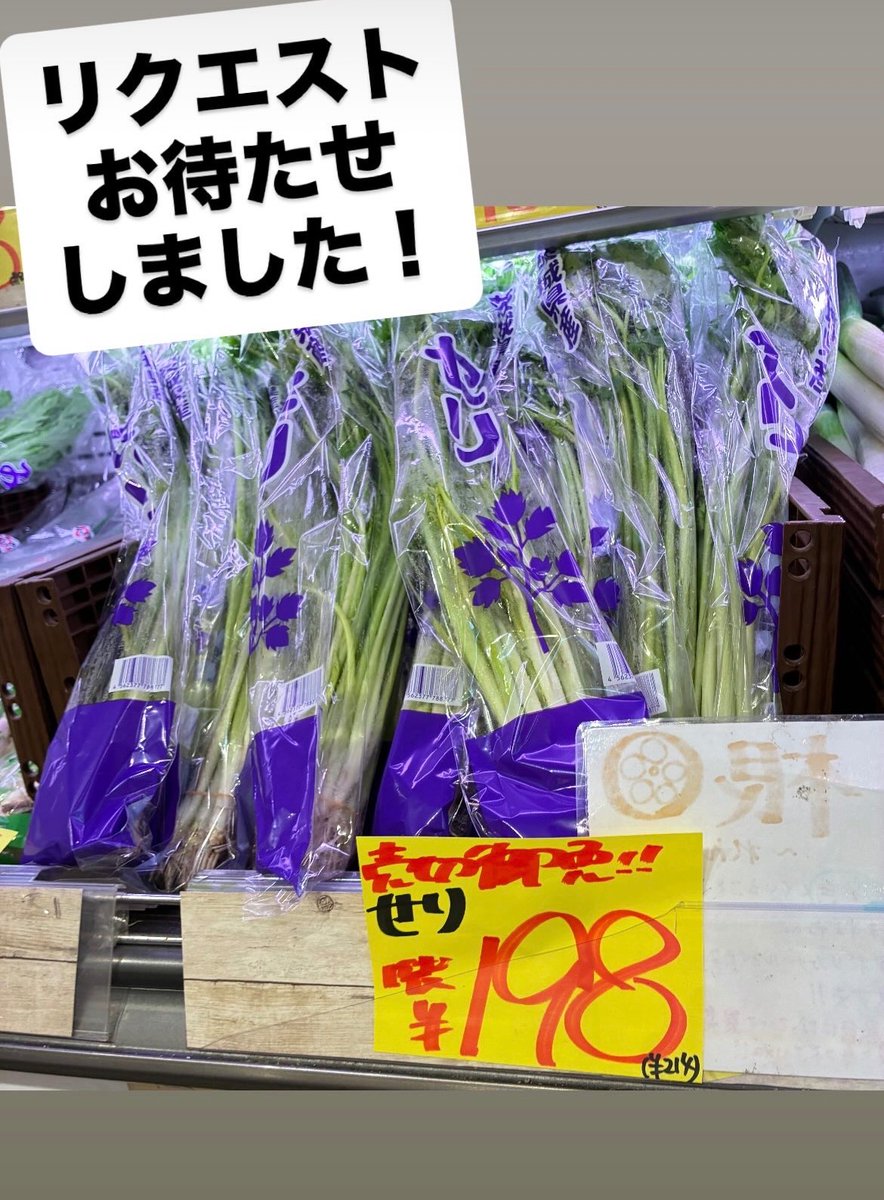 野菜特売編🥦🥬】 おはようございます☀️ 2/24火もよろしくお願いし