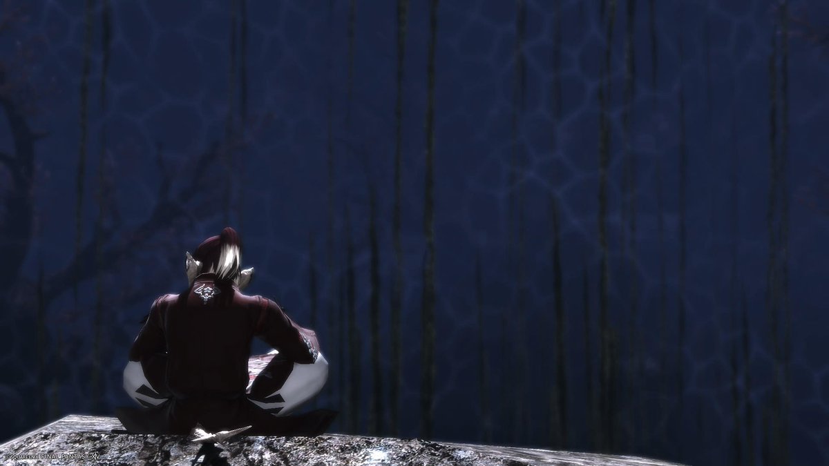 Kai@さくらば🌸 tweet media