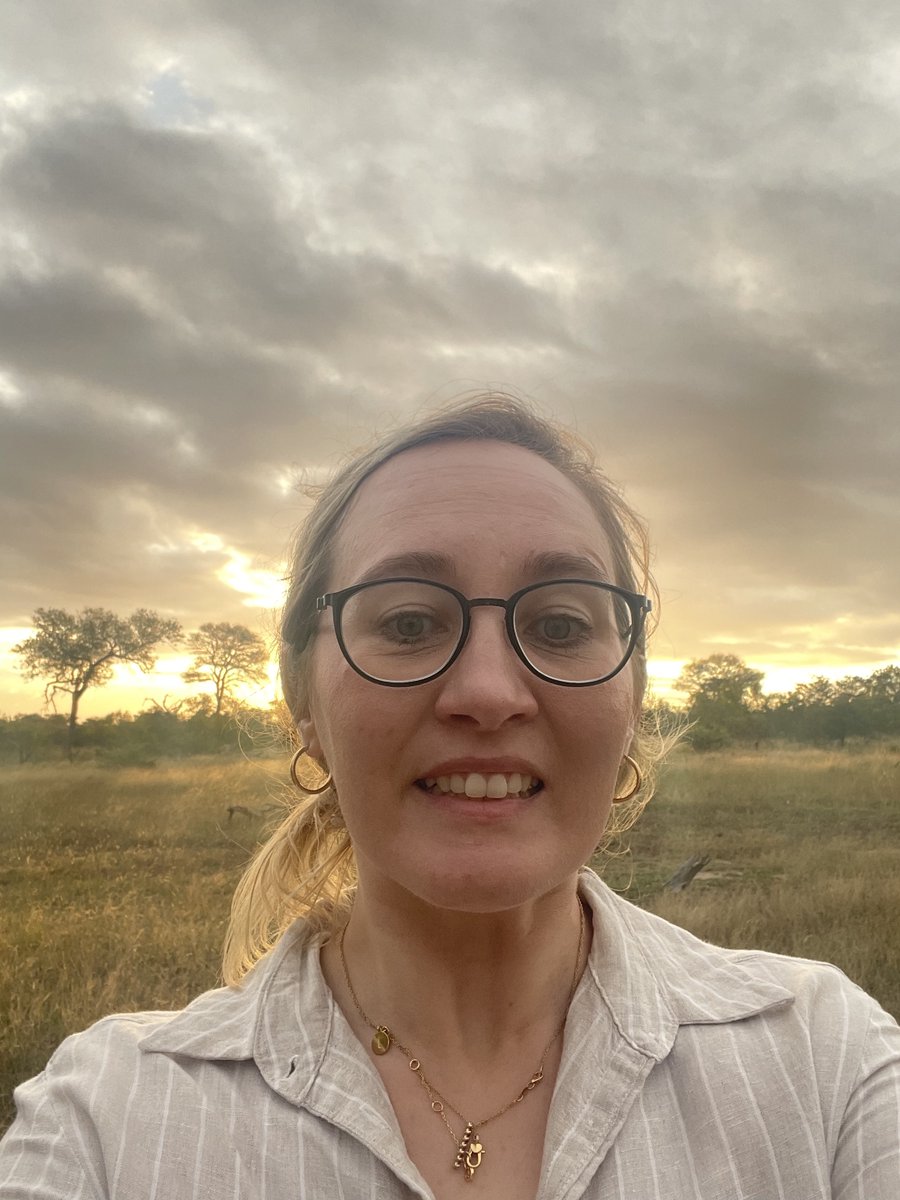 The Tiger Moth Review tweet media