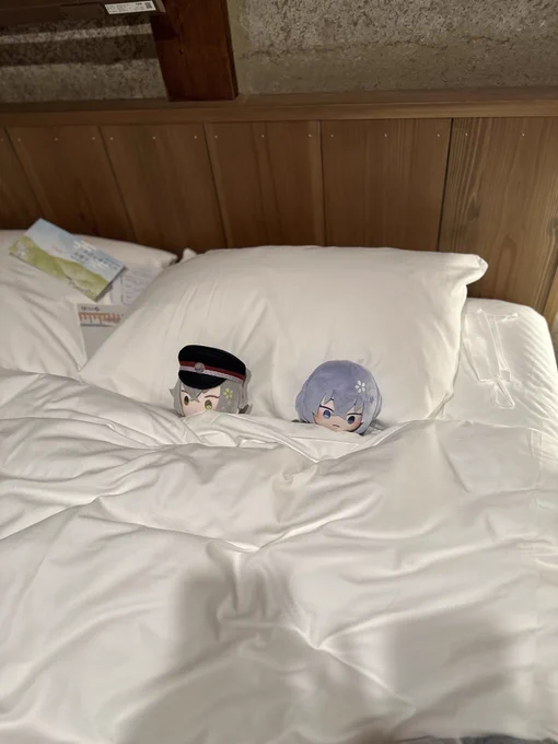 旅行中に撮った蛍丸達が可愛いから見てくれ