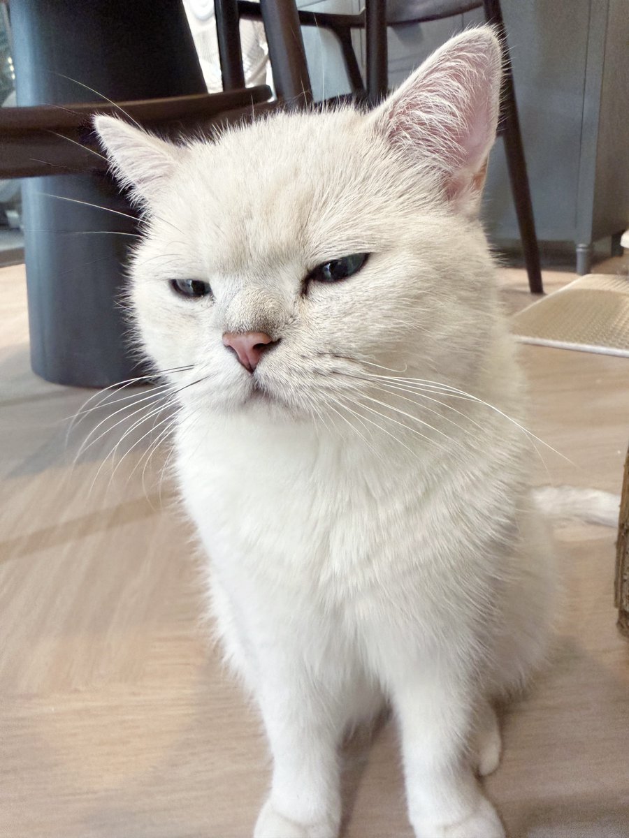 เช้าที่แสนสดใส