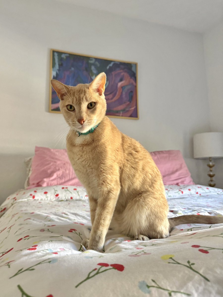 Steph 💓 tweet media